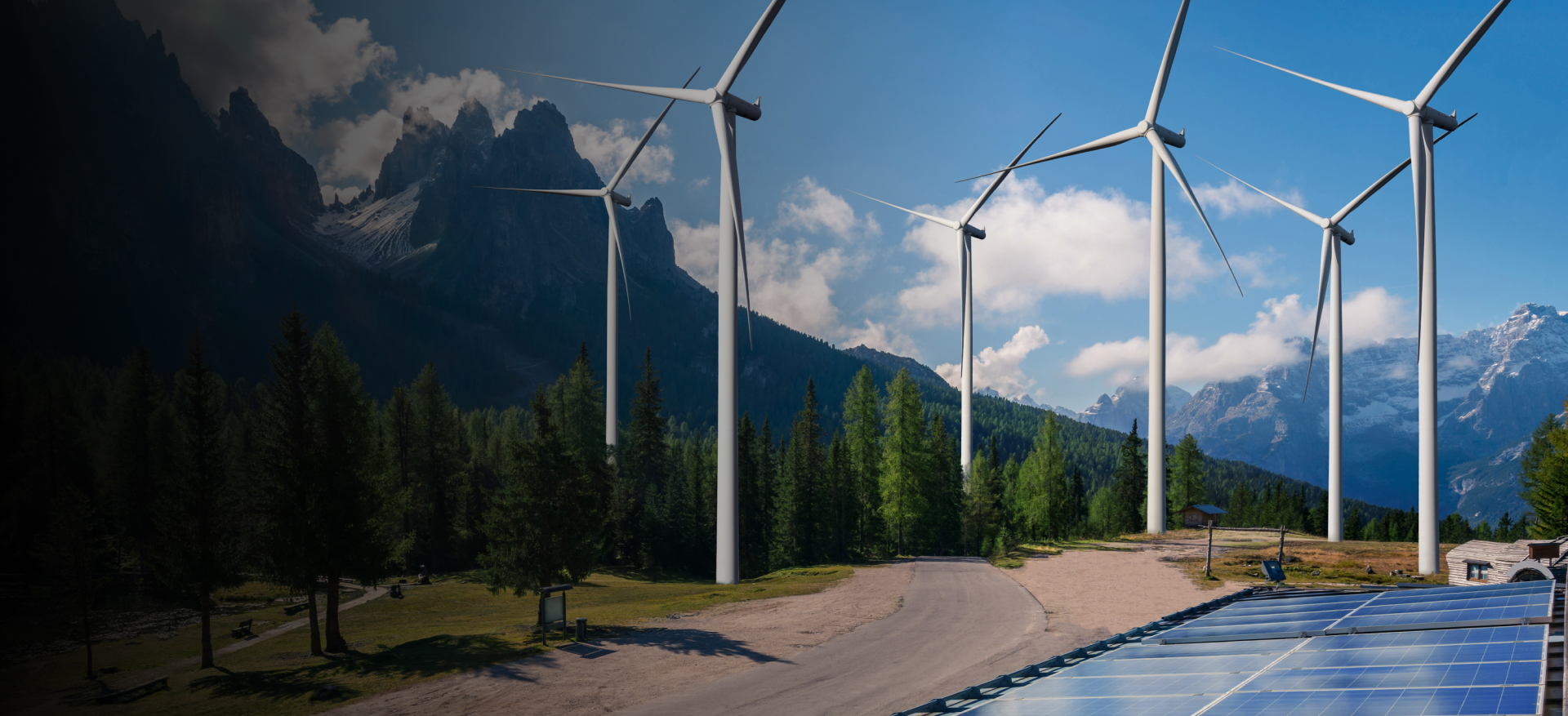 Profesyonel Çözümler